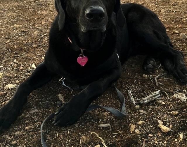 Molly Profile Image