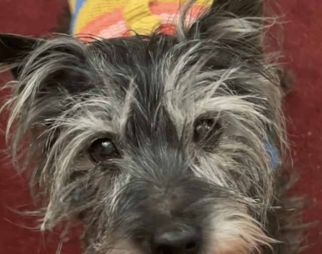 Bobby Profile Image