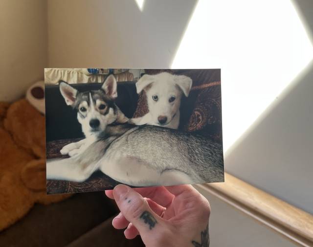 Kotiak with his sister he reunited with in death.