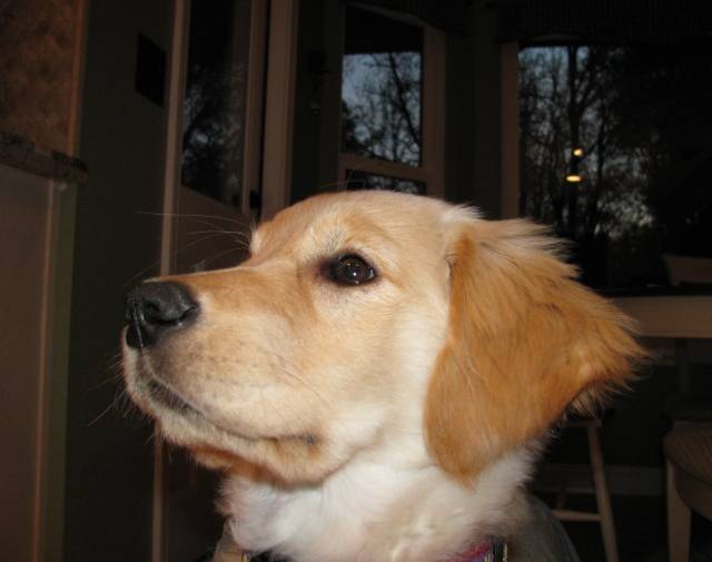 Macey Profile Image
