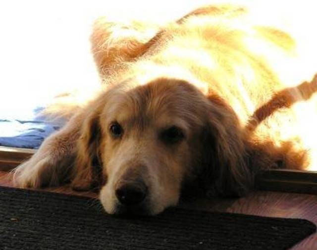 Max Gallery Image 1