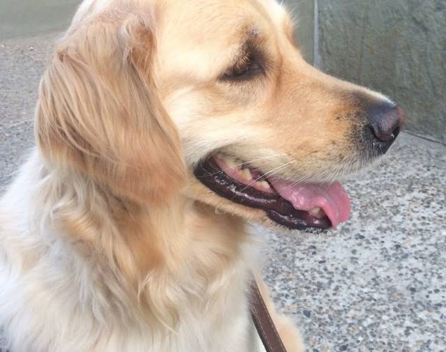 Nellie Profile Image