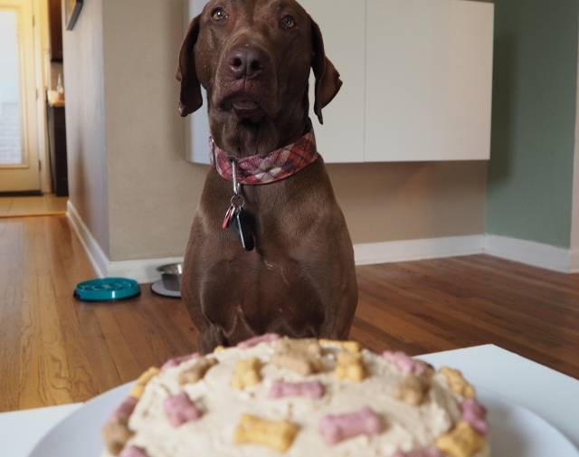 Kona - Birthday