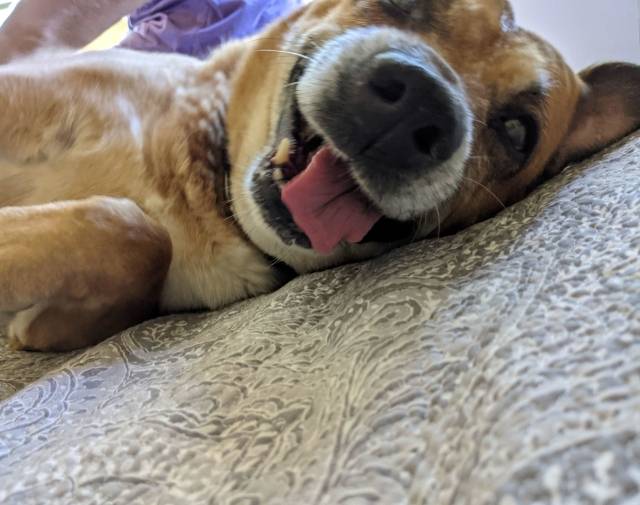 Cinnamon is Love