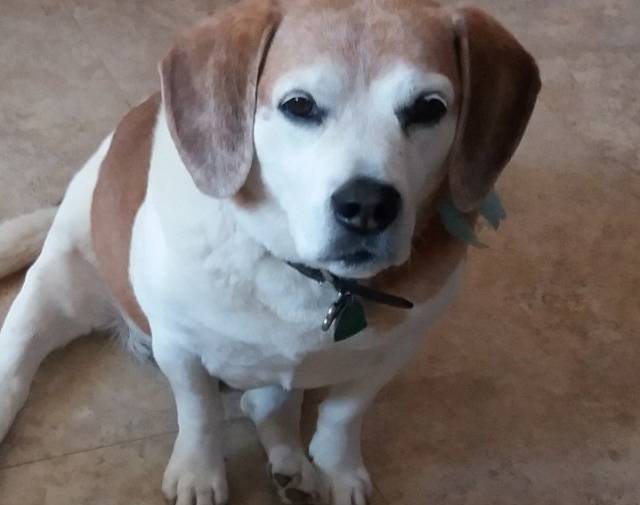 Benny