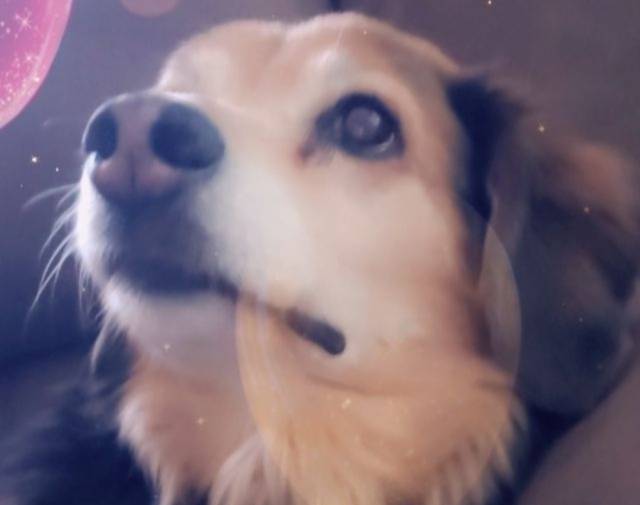 Brandi Profile Image