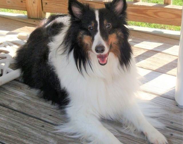 Sierra Page Profile Image