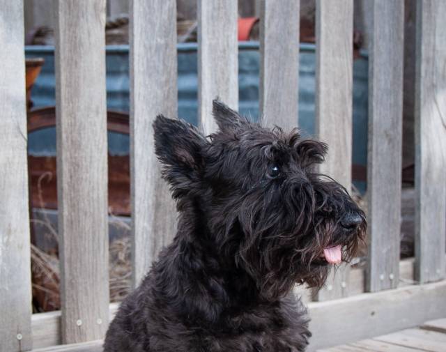 Wallace "by the river" Gallery Image 3
