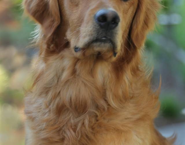 Jake Profile Image
