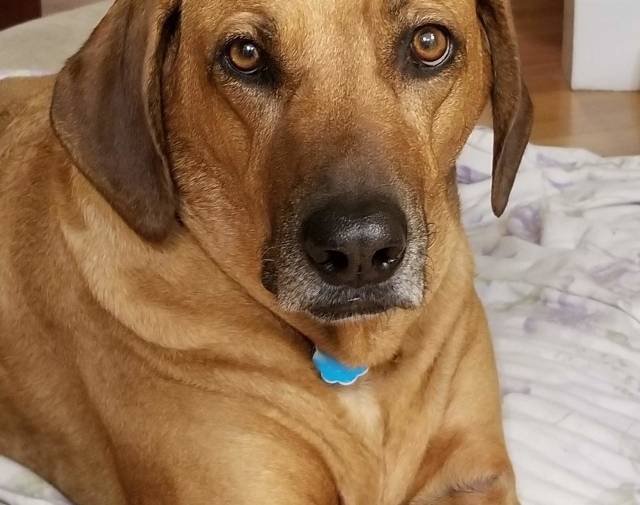 Sadie Profile Image