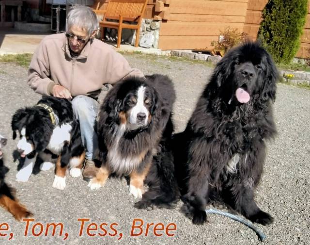 Tess Gallery Image 6