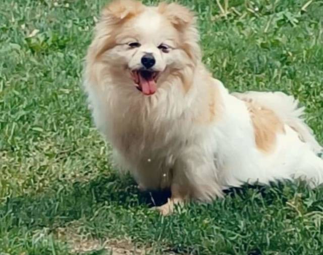 Chichi Profile Image