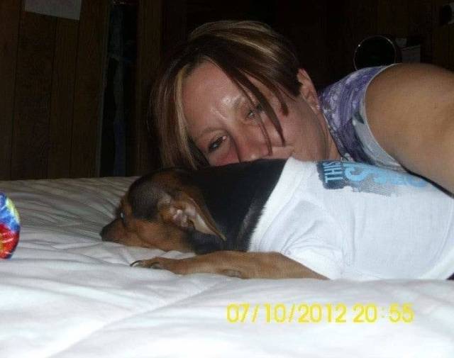 Harley Joe Golly Gallery Image 7