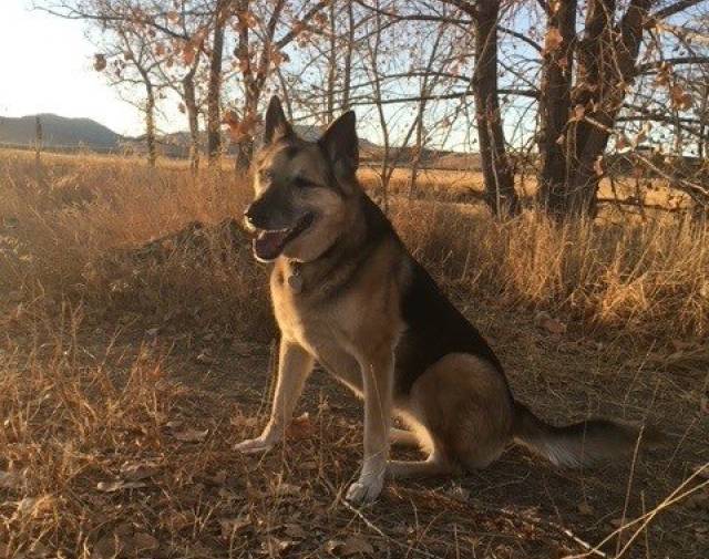 Riley AKA One Eye Rye Profile Image