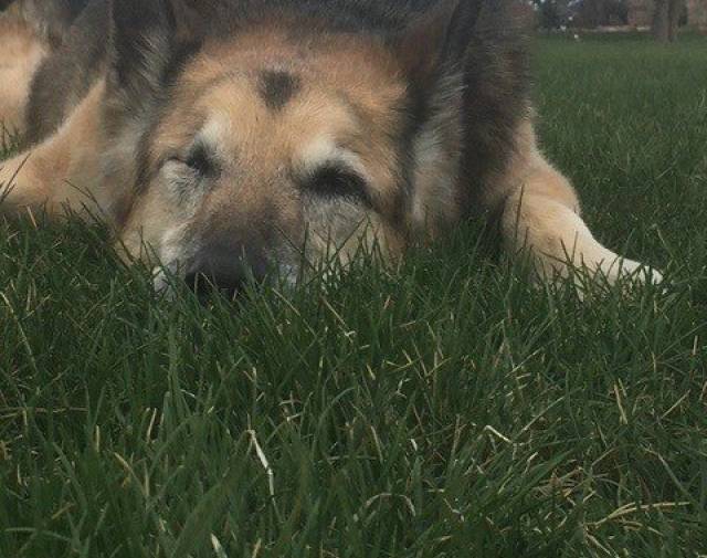 Riley AKA One Eye Rye Gallery Image 4