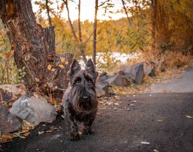 Wallace "by the river" Gallery Image 7