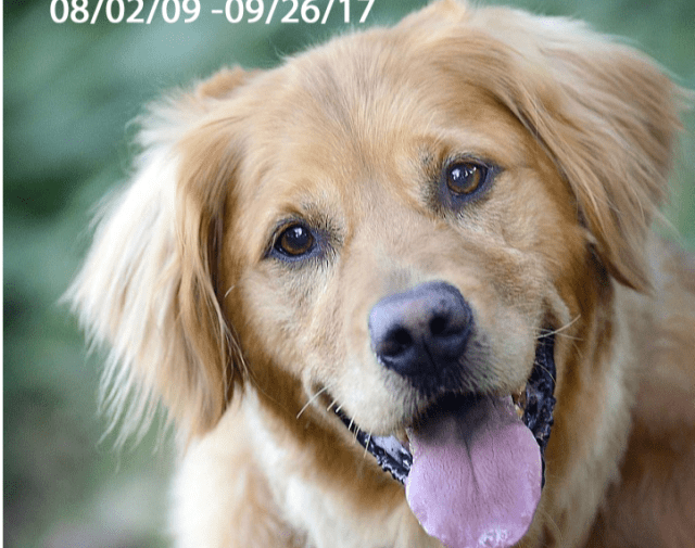 Tobie Profile Image